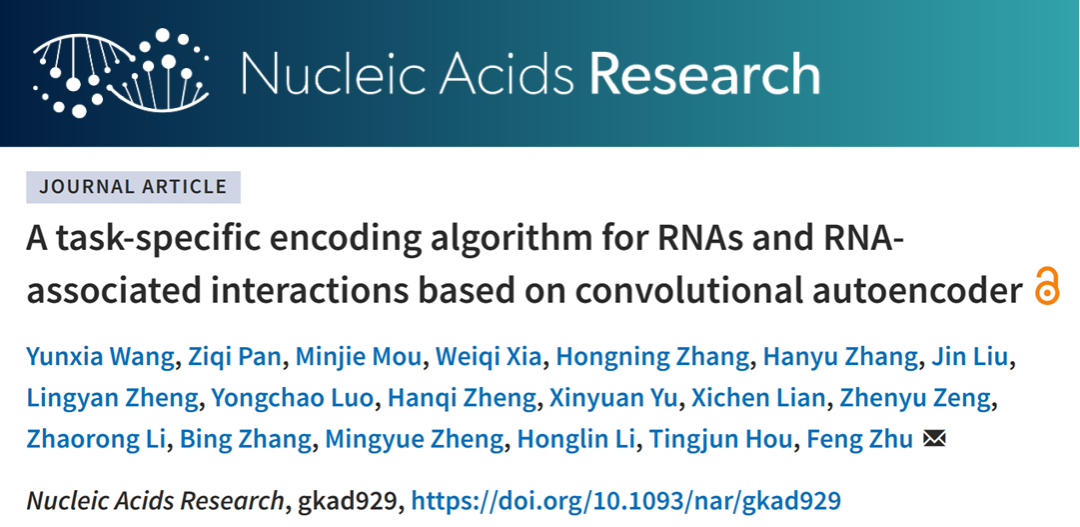 Nucleic Acids Res | 基于卷积自动编码器的RNA表征及相互作用研究