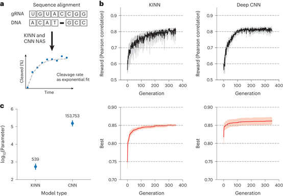 Nat. Comput. Sci. | 可解释深度学习预测CRISPR-Cas9脱靶酶促反应