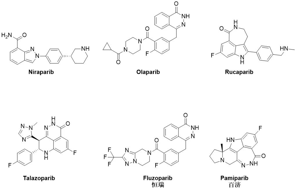 从第二代PARP1抑制剂全球进展学药物设计
