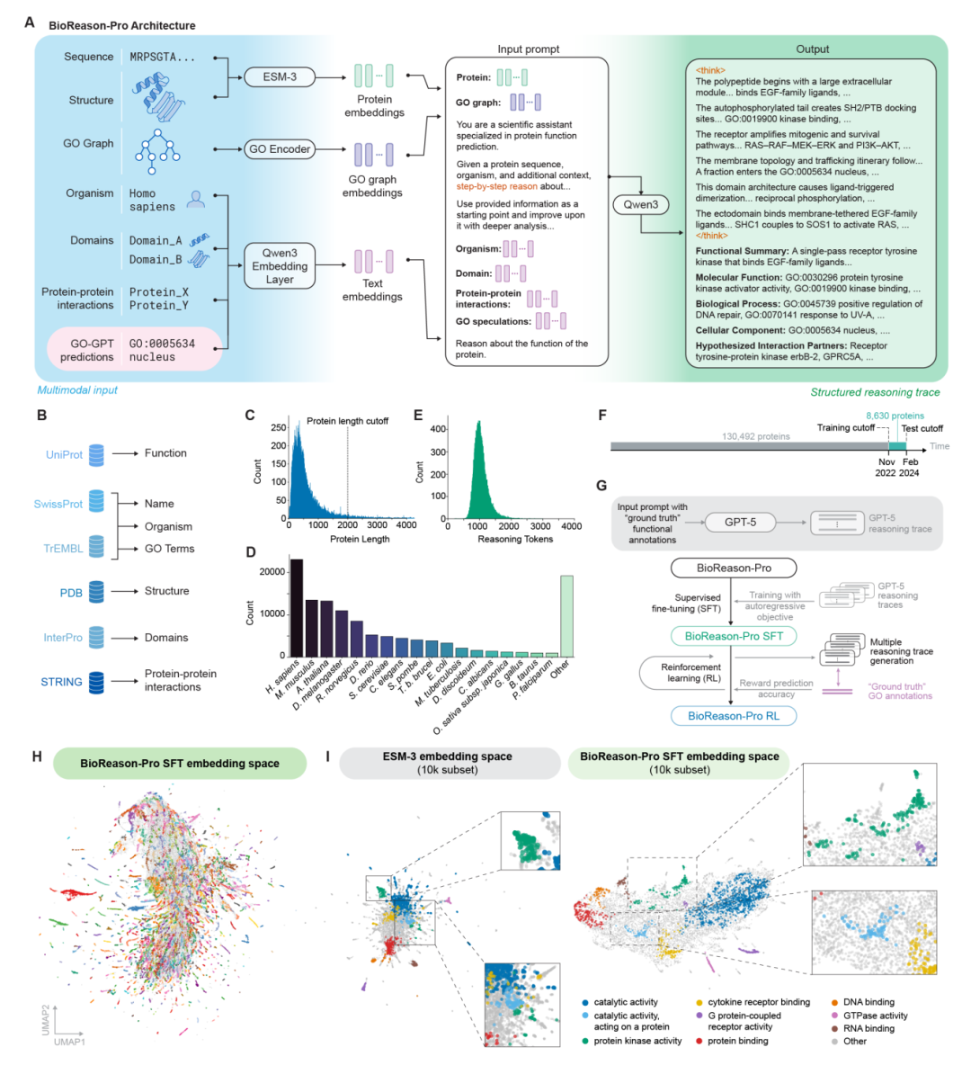 BioReason-Pro 整体架构与训练流程。模型整合 ESM3 蛋白质嵌入、GO 图编码器和生物学上下文信息,在 GPT-5 生成的合成推理轨迹上进行监督微调(SFT),再通过以 GO 术语预测准确度为奖励的强化学习(RL)进一步优化。