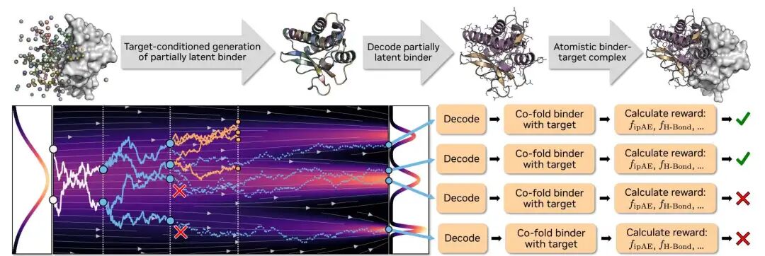 Proteína-Complexa 中 Beam Search 的工作原理示意