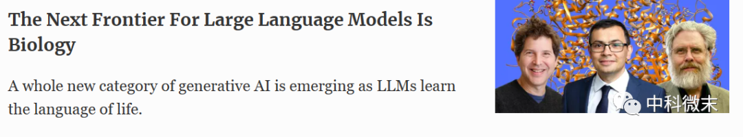 后AlphaFold时代：“语言模型”开启蛋白质设计新纪元？