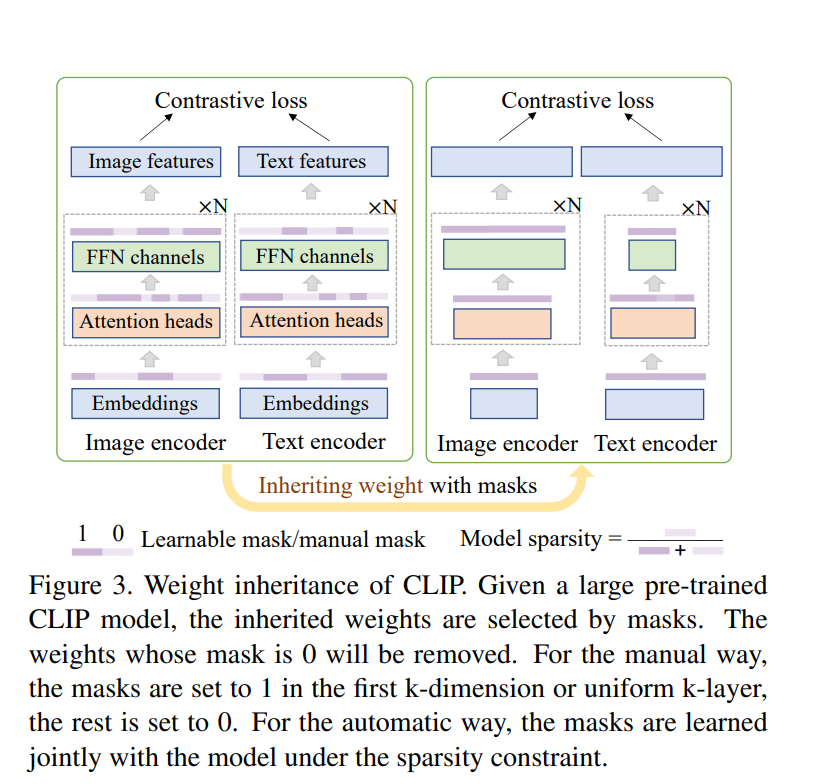 ICCV 2023 TinyCLIP解读