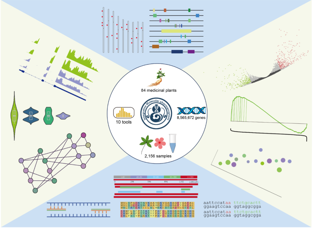 Nucleic. Acids. Res. | 整合药用植物组学平台 IMP