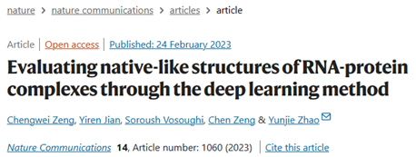 Nat. Commun. | 基于深度学习方法评估RNA-蛋白复合物的类天然结构