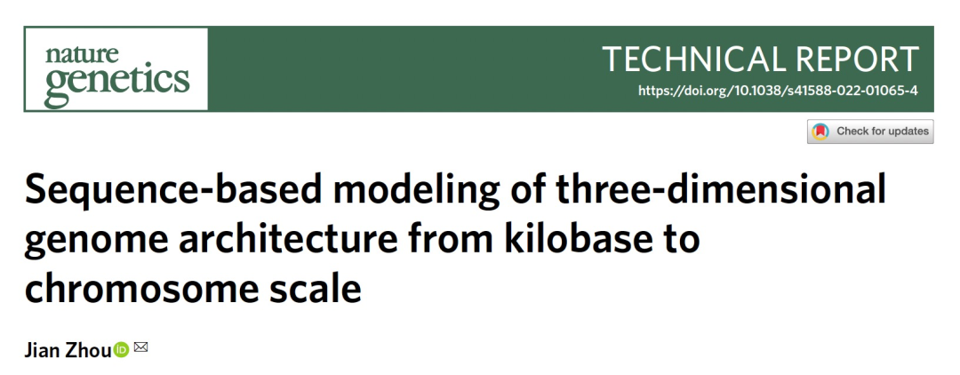 Nat. Genet. | 从碱基到染色体尺度的三维基因组结构的序列建模