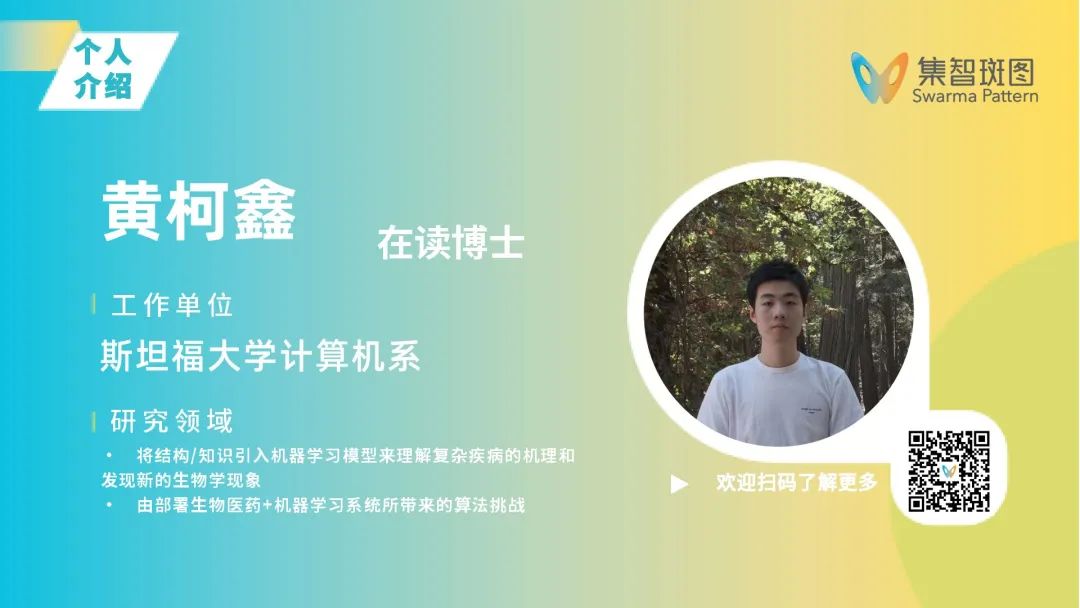 海报预览