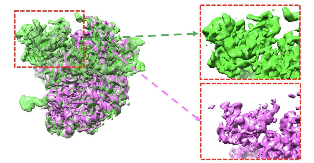 Nat. Methods. | 复旦团队先进智能算法：蛋白质结构冷冻电镜解析分辨率大幅提升