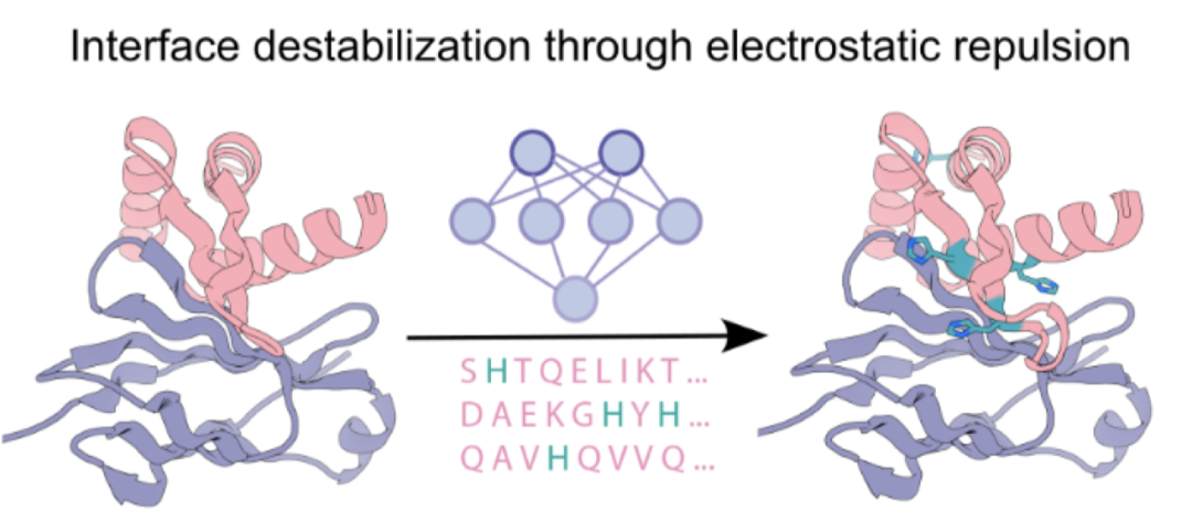 第一种策略|界面destabilization