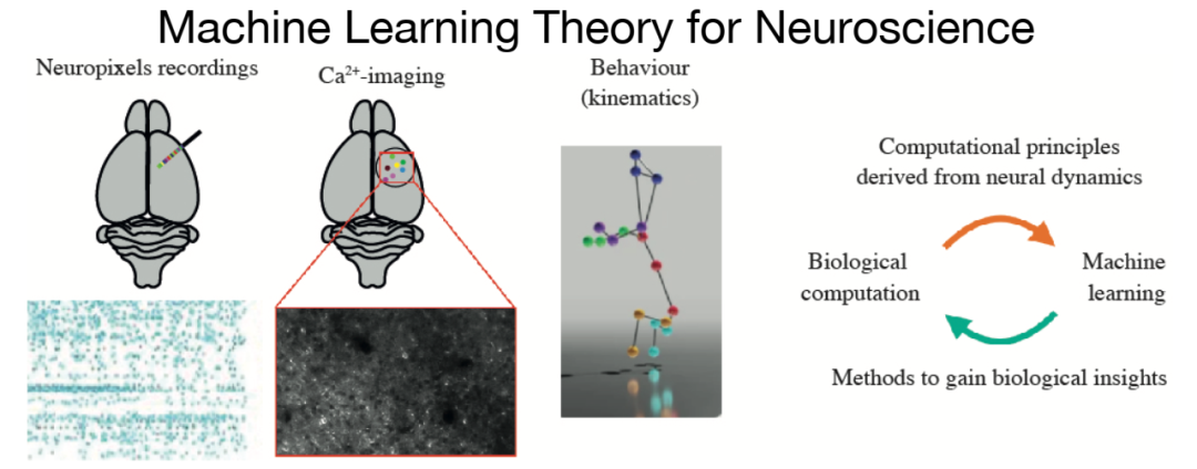 招生 | 博士生 | ML + Neuroscience方向 | 奥地利维也纳医科大学Adam Gosztolai教授