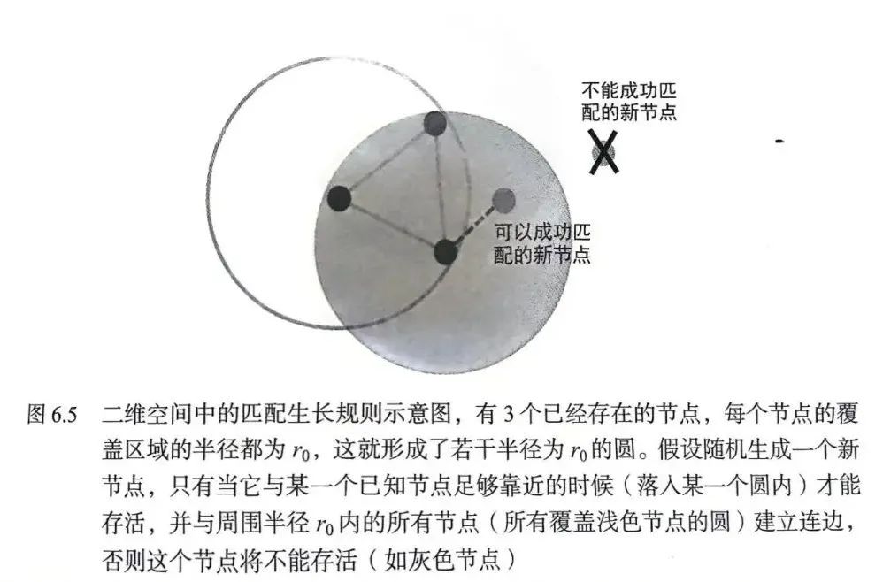 从《规模法则》视角看世界：从经济系统到城市、企业｜复杂系统管理学