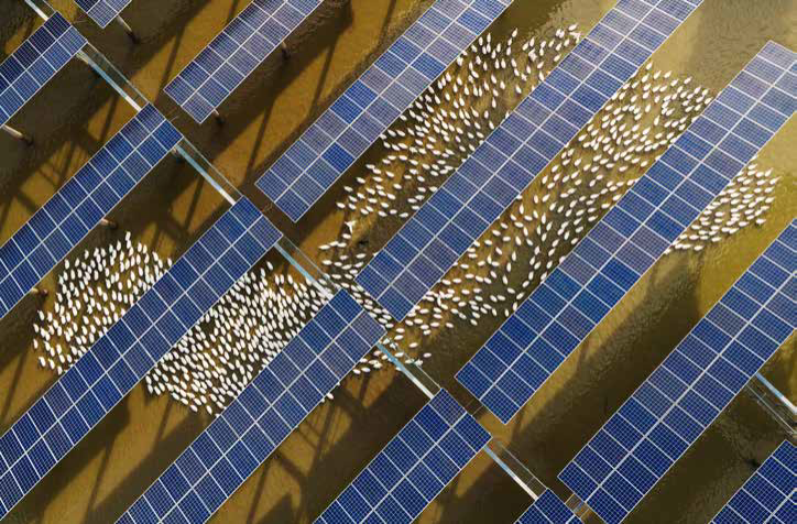 1218NewsFeBOTY_PhotoEssay_FF!@#$%^&_()_ +.png