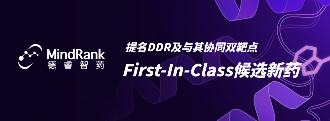 「德睿智药」提名DDR及与其协同双靶点First-In-Class候选新药，开展IND-ENABLING研究