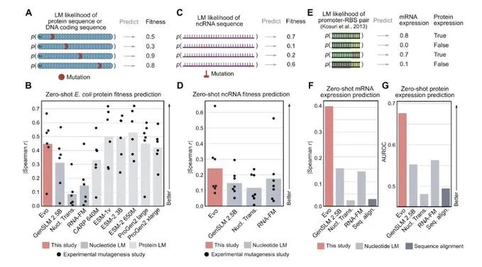 生物大模型新里程碑！囊括DNA、RNA 和蛋白质序列，AI破解生命通用「语言」