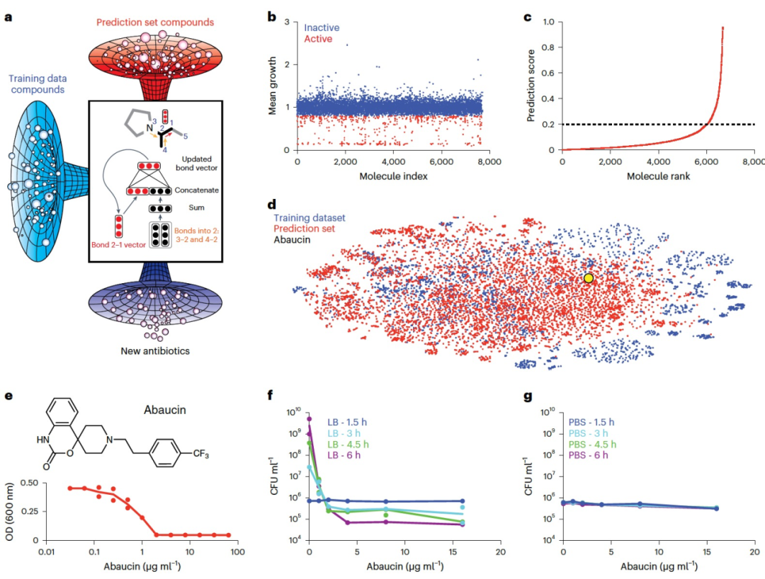Nat. Chem. Bio. | 深度学习引导下的靶向鲍曼不动杆菌的抗生素发现