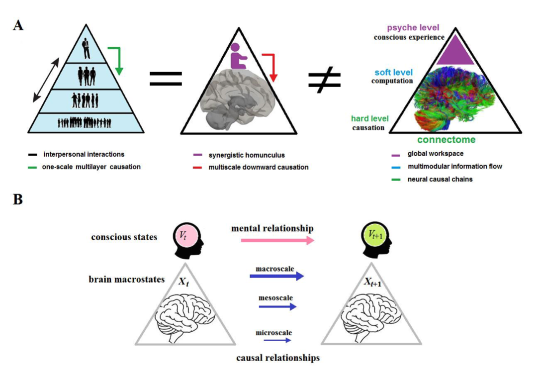 科学能解释自由意志吗？