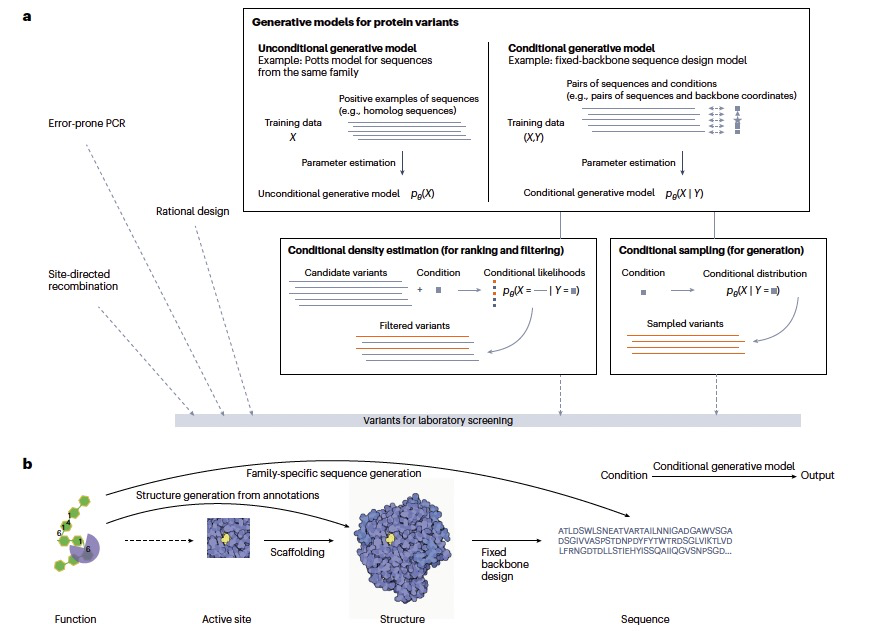 Nat. Biotechnol. | 蛋白质结构和序列的生成模型