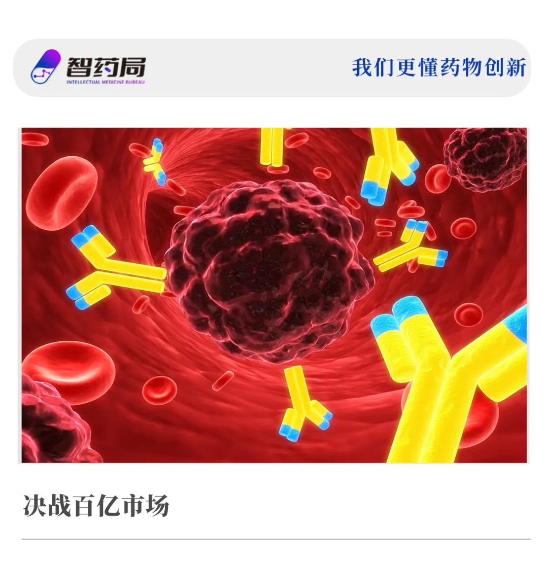 Q3收官！20项获批临床，7项受理，中国ADC迎来全面爆发