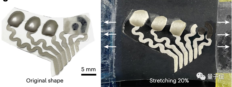 AirPods可以“读脑”了？还是能同时监测汗液乳酸浓度的那种｜Nature