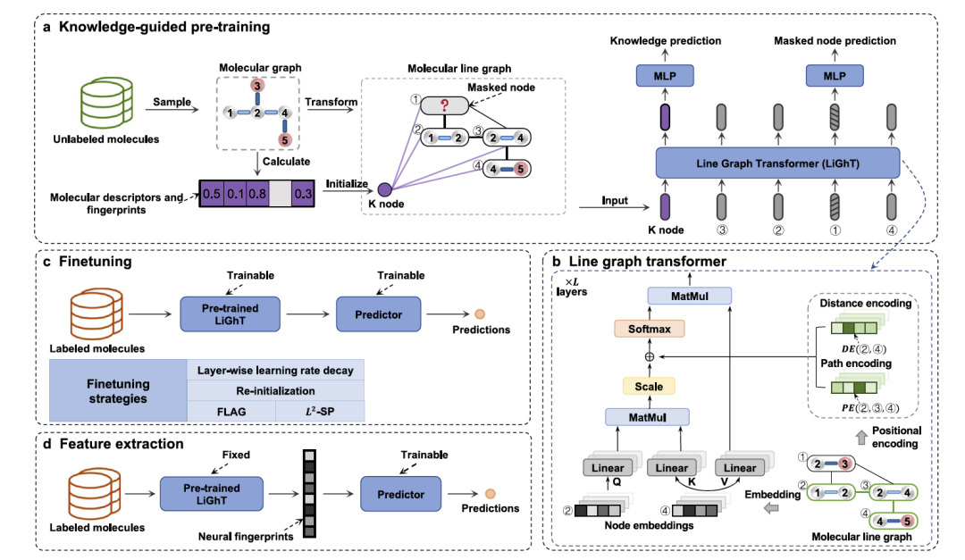 Nat. Commun. | 基于知识引导的分子预训练框架