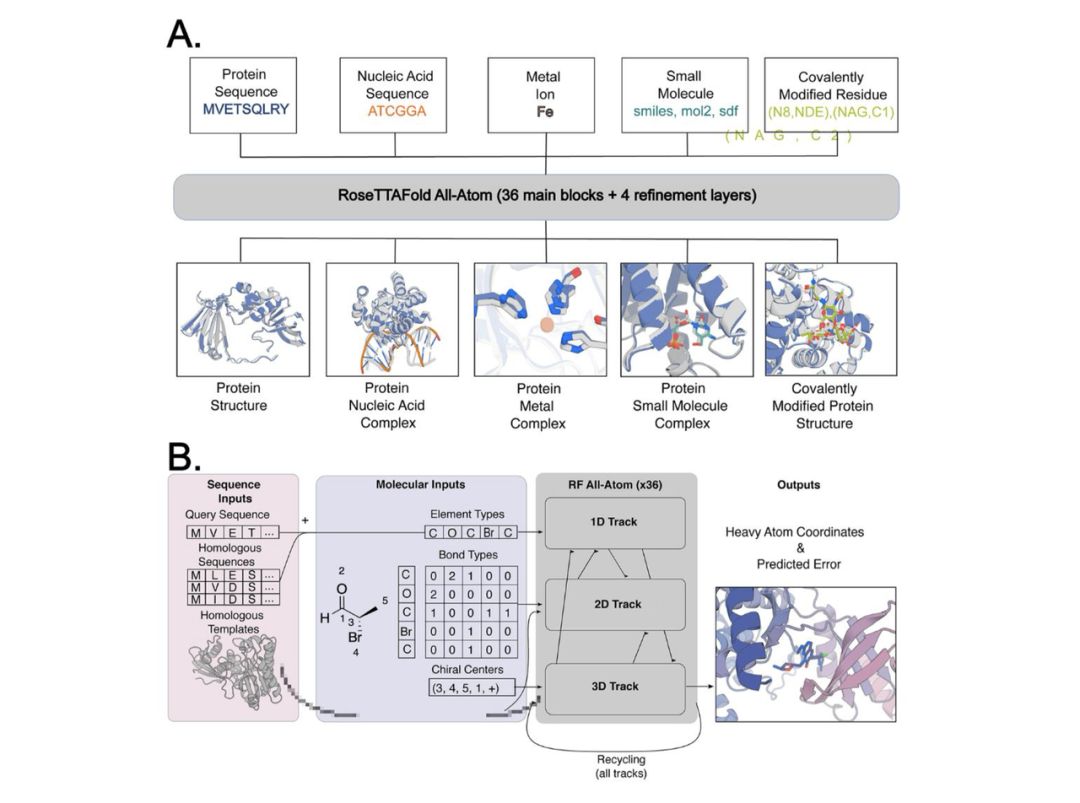 力闻 | RoseTTAFold All-Atom开源！蛋白质设计领域迎来新纪元