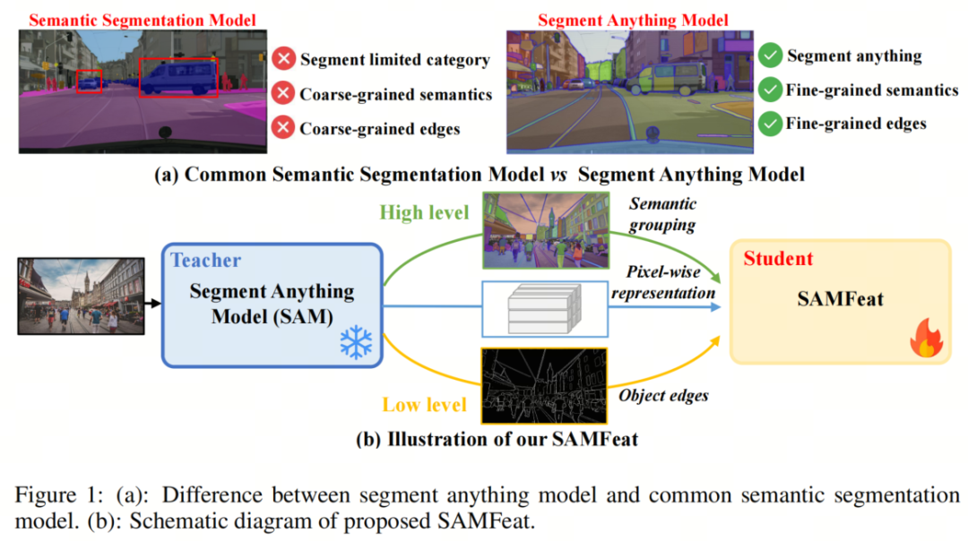 其实SAM是个好老师 | SAMFeat教你如何结合自己的模型和SAM设计一个更好的模型