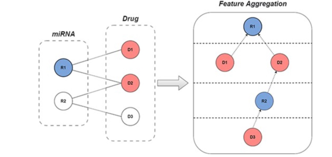 Brief. Bioinform. | 使用图协同过滤和多视角对比学习预测miRNA药物敏感性