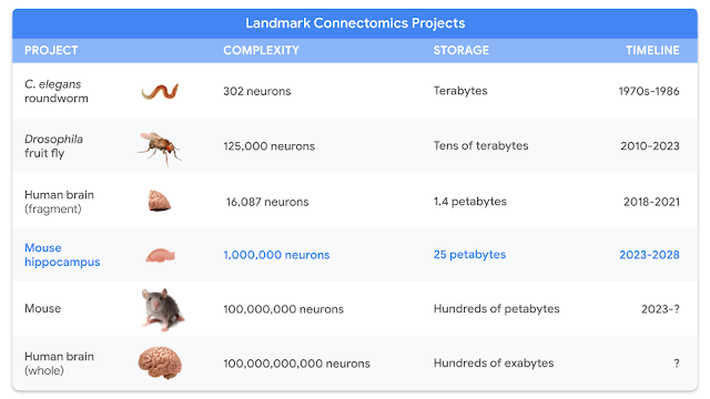 3300万美元，谷歌开启5年脑计划！绘制小鼠大脑2-3%图谱，大约一个珠穆朗玛峰的数据量