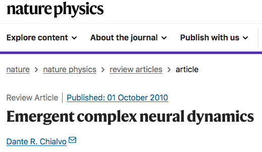 神经复杂性经典综述：涌现的复杂神经动力学
