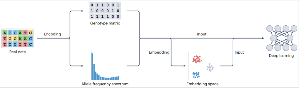 Nat. Rev. Genet. | 深度学习为种群遗传学带来新机遇