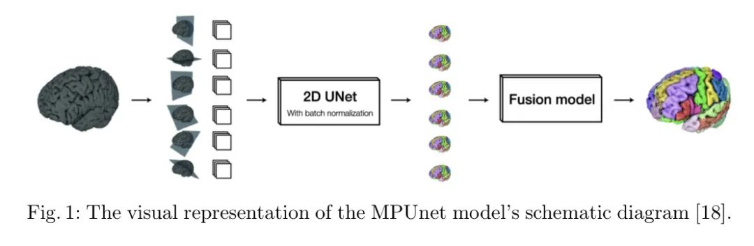 MPUNet | 通过输入图像的各种轴旋转，生成图像的多个视角，引入多平面策略完成3D分割