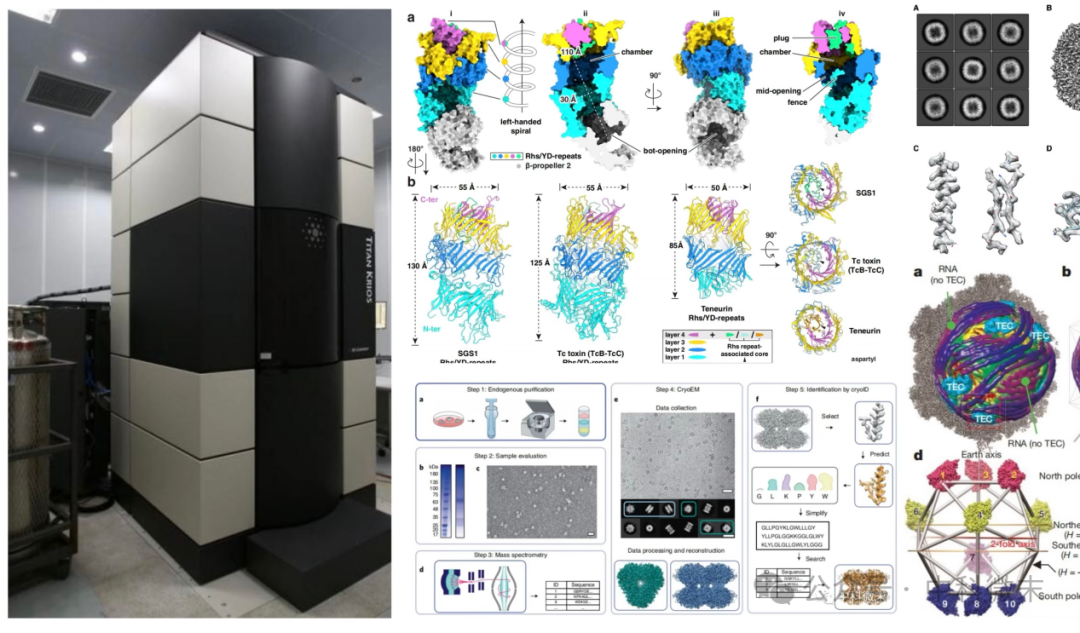 喜讯！微末生物与北京智源达成战略合作，开创cryoEM+AI新时代