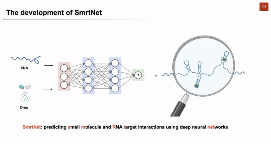 AIR学术｜清华张强锋：利用深度神经网络预测小分子与RNA靶标的相互作用