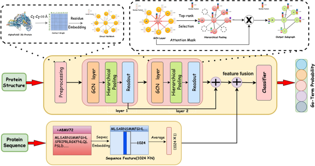 Bioinformatics｜Struct2GO：基于图池化算法和AlphaFold2结构信息的蛋白质功能预测