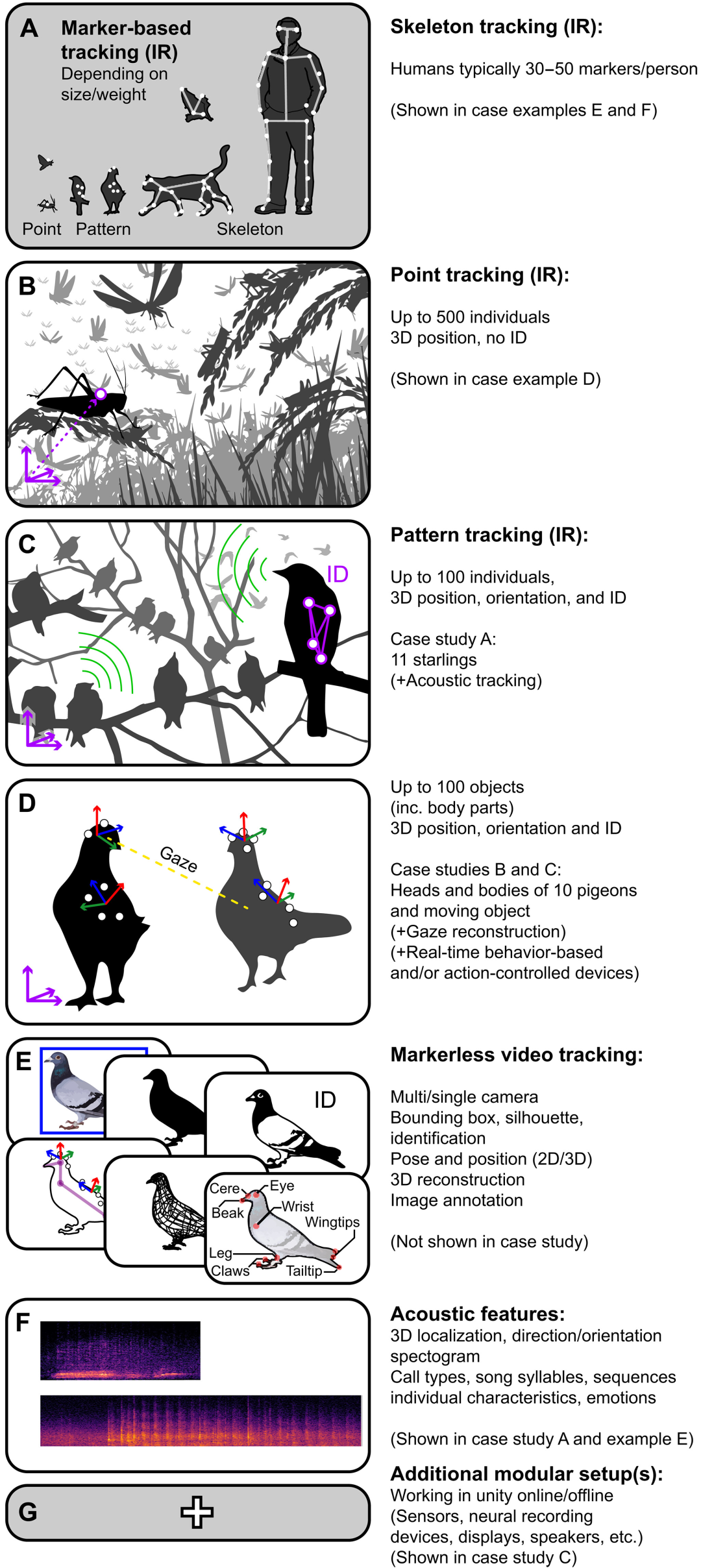 Sci. Adv. 速递：动物群体行为的多模态实时跟踪
