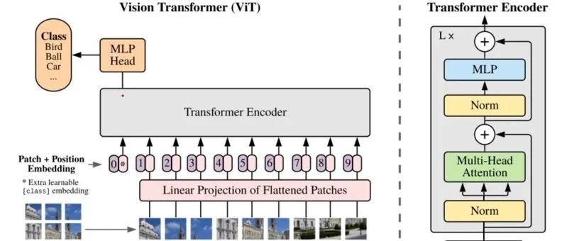 CSUNet | 完美缝合Transformer和CNN，性能达到UNet家族的巅峰！