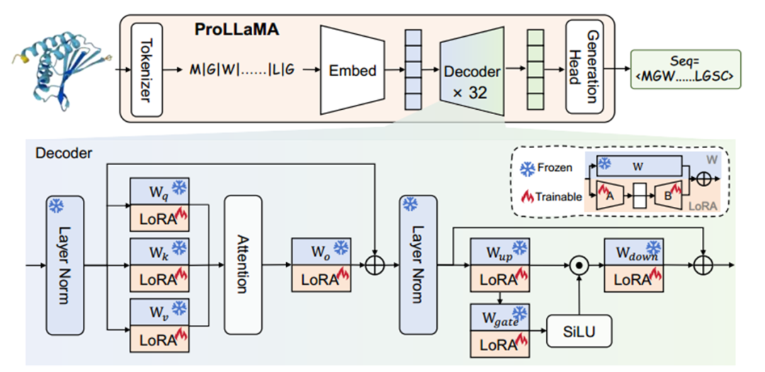 ProLLaMA：一种用于多任务蛋白质语言处理的蛋白质大语言模型