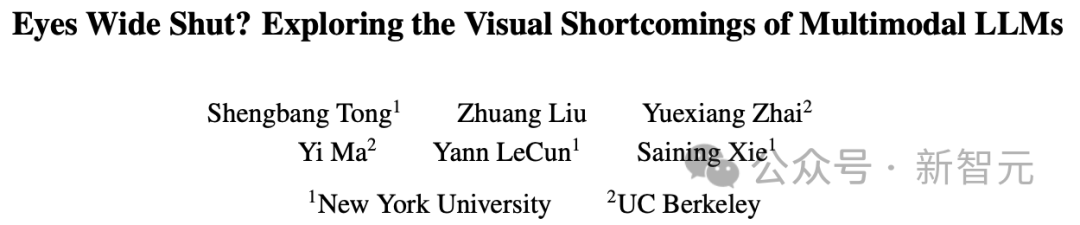 马毅LeCun谢赛宁曝出多模态LLM重大缺陷！开创性研究显著增强视觉理解能力