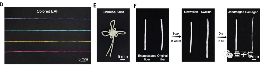 浙大“北极熊毛衣”登Science，保温效率达羽绒服5倍