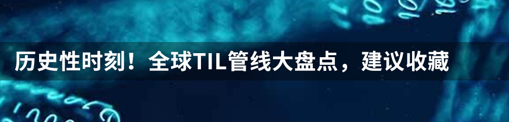 AI+器官芯片，黑玉科学完成PreA轮融资