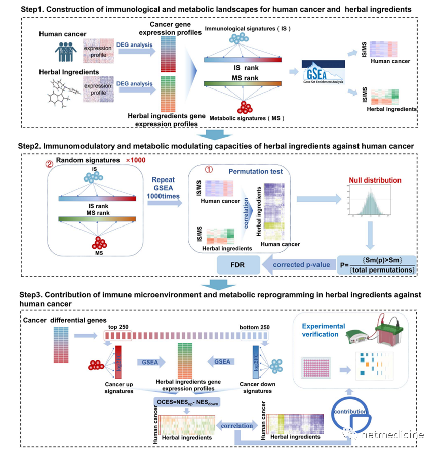 Brief. Bioinform. | 识别靶向癌症免疫微环境和代谢重编程的中药活性成分的算法COIMMR开发