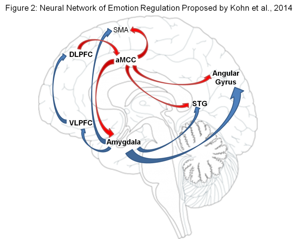 不要浪费你的情绪：情绪调节的过程模型