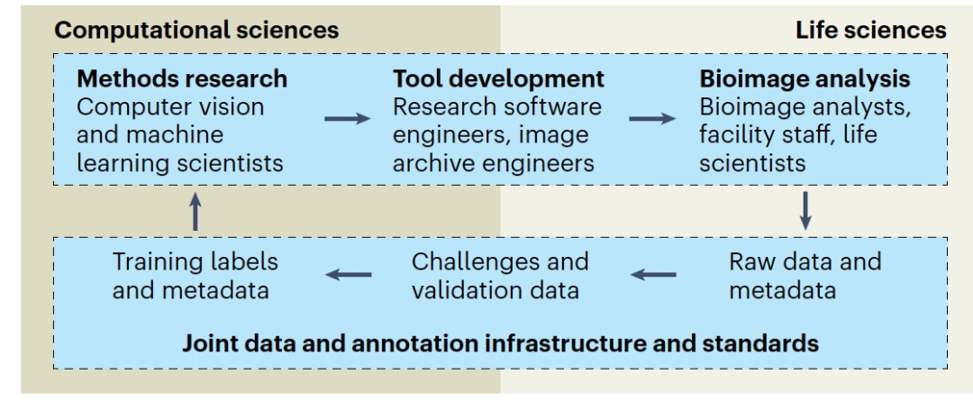 Nat. Methods | 人工智能在生物图像的应用提高科学发现速度