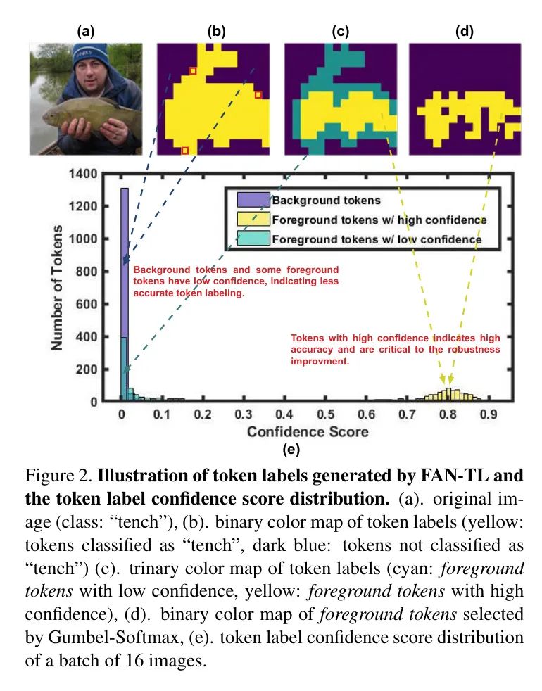 英伟达开源新Backbone涨点方法STL | 让FAN Backbone直接登顶ImageNet-1K等数据集榜单