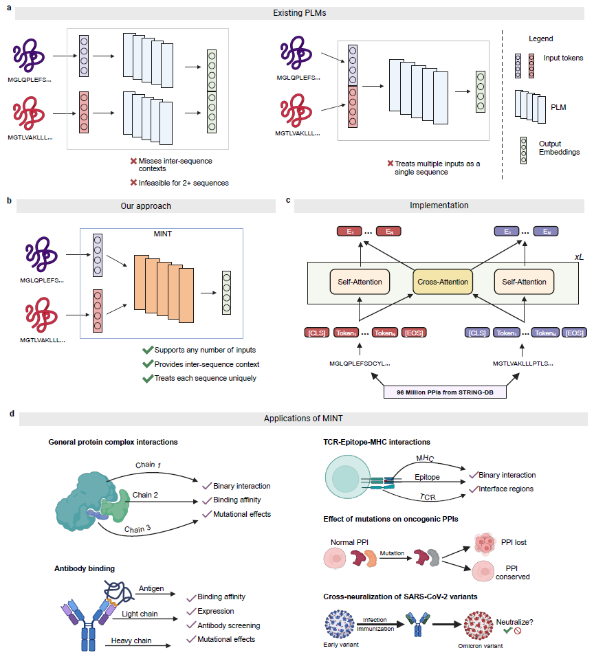 Nat. Commun. | 解码蛋白质–蛋白质相互作用的语言- 智源社区