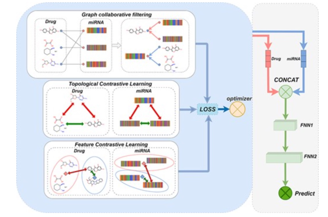 Brief. Bioinform. | 使用图协同过滤和多视角对比学习预测miRNA药物敏感性