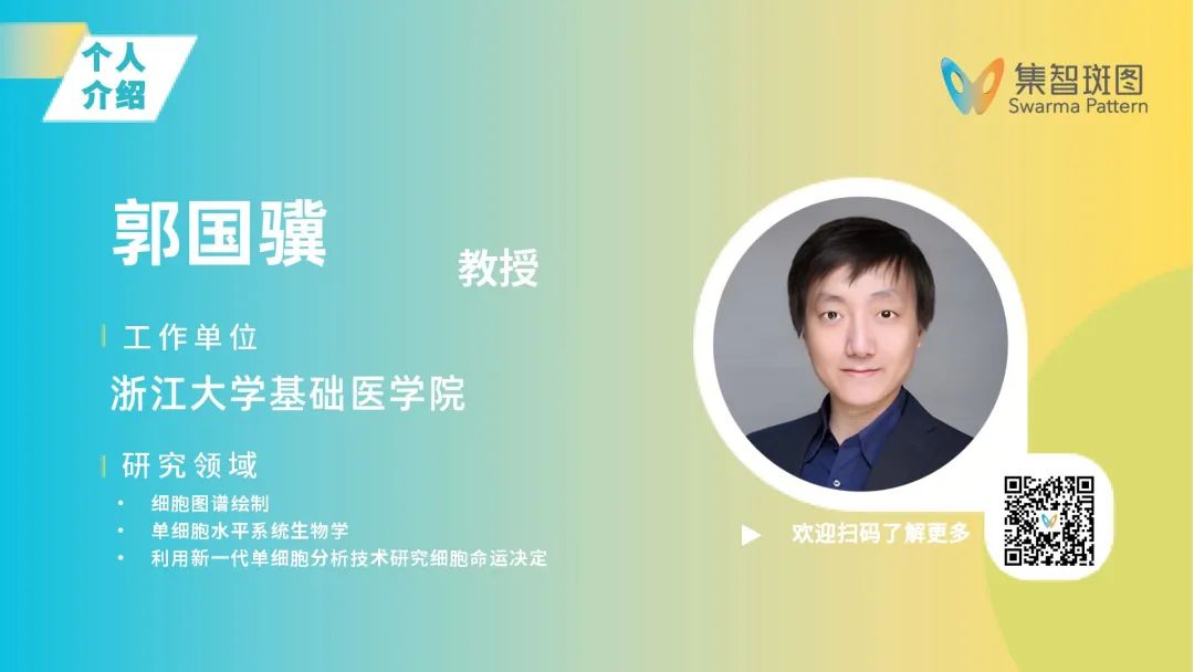 海报预览