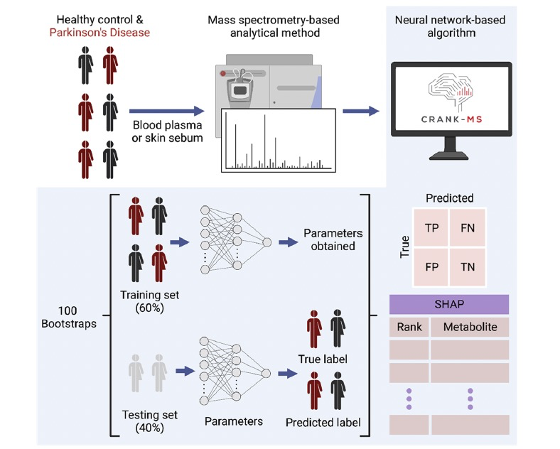 ACS Cent. Sci. | 可解释的机器学习在代谢组数据上揭示帕金森病的生物标志物