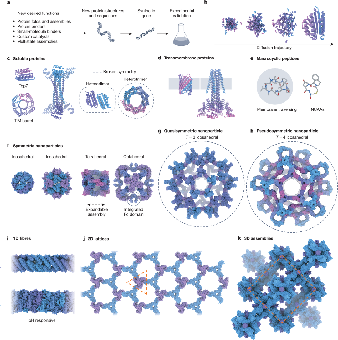 Fig. 1: Overview of protein design challenges and design of protein folds and assemblies.