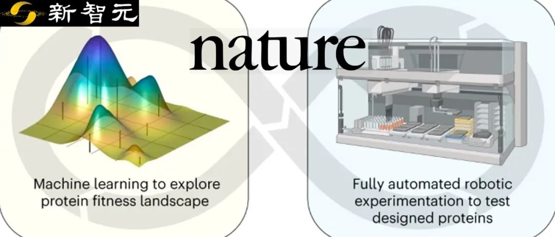 AI Agent自主设计全新蛋白质登Nature！威斯康星大学让机器人科学家做实验，无需人类帮助